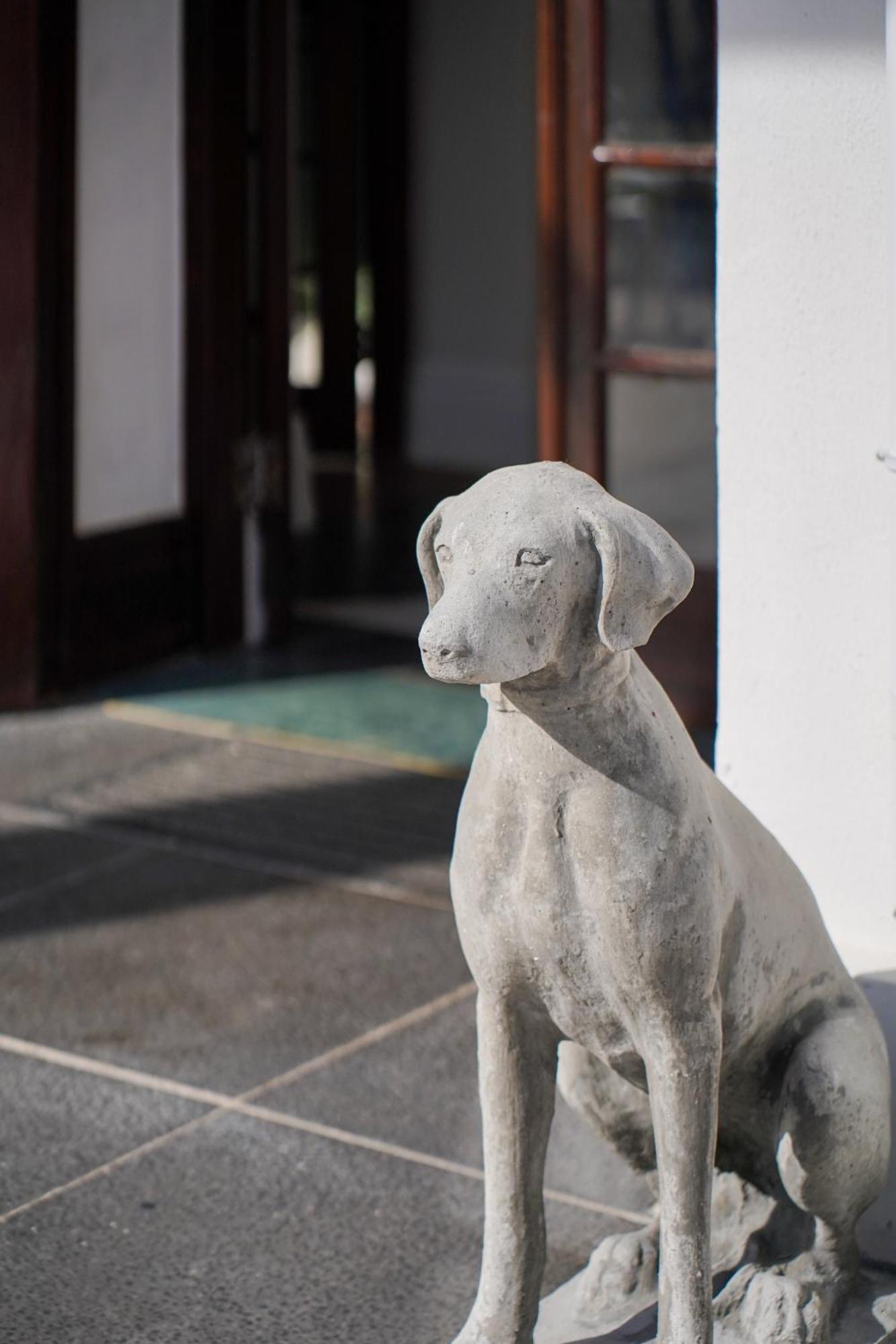 Wytham Manor House Hotel Cape Town Exterior foto